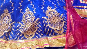 Exquisite Blue Embroidered Lehenga