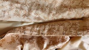 Tan Sherwani With Attached Dupatta