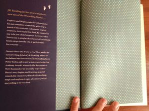 Fantastic Beasts The Original Screenplay