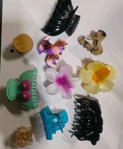 Assorted Hair Clips and Claw Set