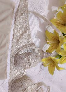 Very Beautiful Net Bra With Penty