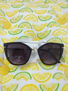 Aldo Sunglasses _1381
