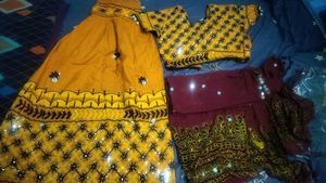Embroidered Lehenga Choli Set