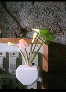 Mushroom Light