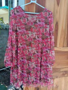 Floral Print Sheer Mini Dress