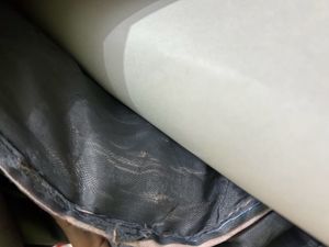 Backbag