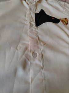 Cream Black Cat Full Sleeves Shirt