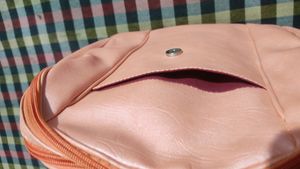Fashionable Backpack