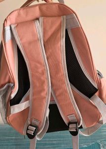 Pet Carrier Backpack for Cats &amp; Small Dogs