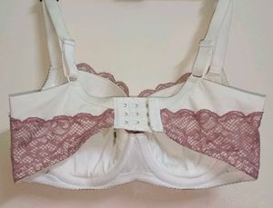 Lace Padded Bra