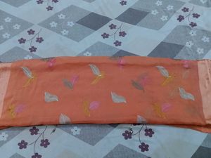 Beautiful Orange Saree with Feather Motifs