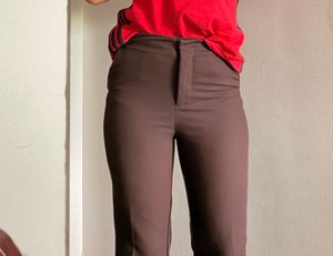 Classic Brown Trousers
