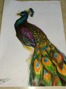 Vibrant Peacock Feather Artwork