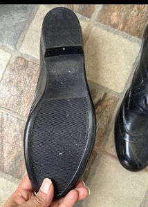 38 Size Melissa New