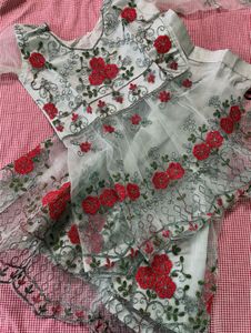 Embroidered Lehenga Choli Set