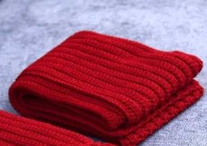 Red Mikasa Knit Scarf 🧣