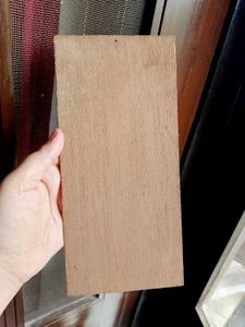 Hand-painted Wooden Bird Art