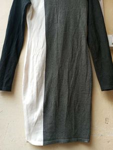 Bodycon ColorBlock Turtleneck Dress (Women)