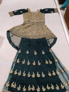 Designer Lehenga Choli Set