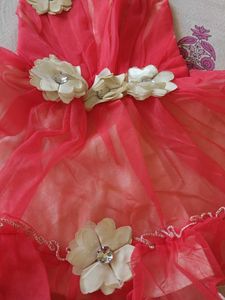 Adorable Flower Girl Party Dress