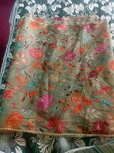 Beautiful Organza Dupatta