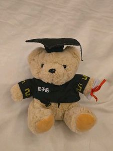 Graduation Teddy Bear Toy