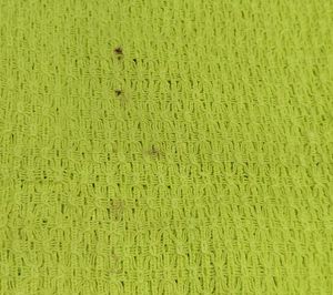 Lime Green net fabric 💚