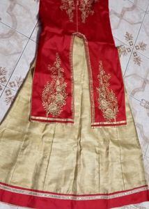 Red &amp; Gold Embellished Indian Dress