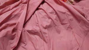 Elegant Pink Saree with Gold Border