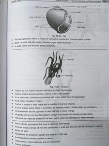 Zoology &amp; Botany Diagrams