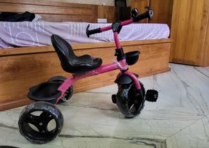 Pink Stepup Tricycle