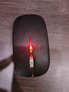 Ergonomic Wireless Mouse