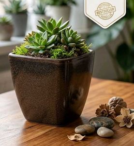 Brown Ceramic Square Vase