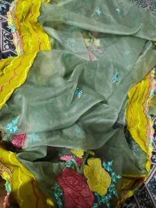Embroidered Organza Dupatta with Rich Border