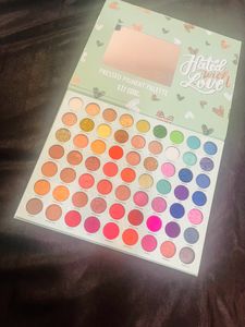 New Eyeshadow Pallet With 63 Colors