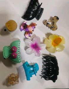 Assorted Hair Clips and Claw Set
