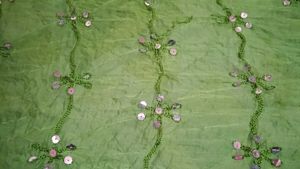 Embellished Green Dupatta