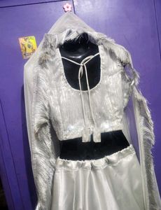 Silver Lehenga Choli Set