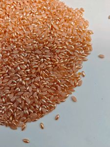 Peach &amp; Gold Seed Beads it's 550 gram