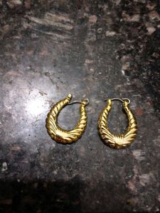 Gold Tone Hoop Earrings
