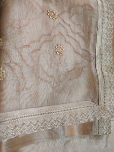 Elegant Peach Organza Dupatta