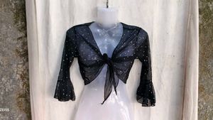 Sparkly Sheer Mesh Tie-Front Top