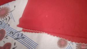 Readymade Pant With Duppatta