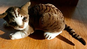 Cat Doll For Sale