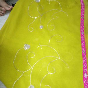 Lime Green Saree with Silver Embroidery