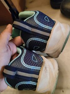 sportshors/sneakers
