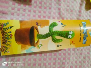 Dancing Cactus Toy