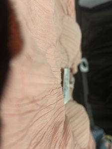 Blush Pink Ruffled Sleeve Top