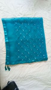 (New) Net Embroidered Dupatta ( pack of 1 )