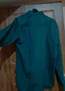 Tommy Hilfiger Green Button-Down